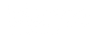Verns Minnows