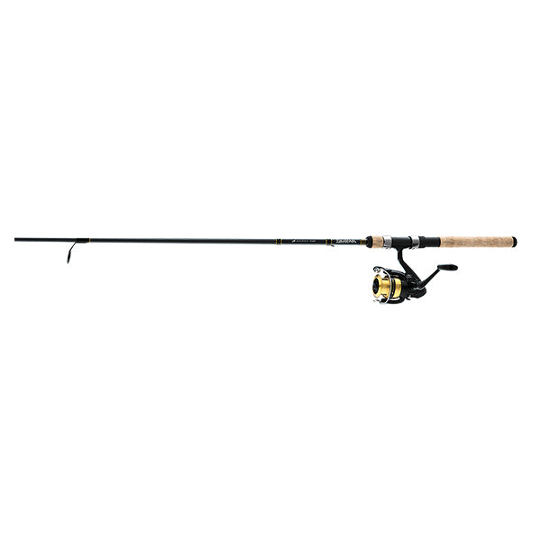 Daiwa D-Shock 1BB SP Combo