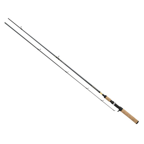 Sweepfire CS Rod, 6-6, 2pc, Med-Hvy, Fast